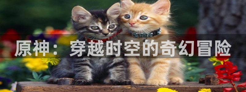 羞羞动漫无删减